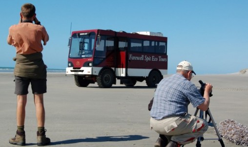Farewell Spit Eco Tours - Golden Bay