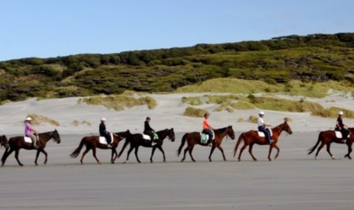 Horse Riding - Cape Farewell Horse Treks - Golden Bay