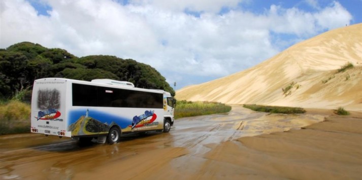 Dune Rider