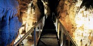 Waitomo Two Cave Combo departing Rotorua - Headfirst Travel image 4
