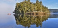 Kayaking - Franz Josef Wilderness Tours image 5