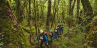 Canyon Explorers - Routeburn image 8