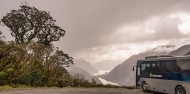 Doubtful Sound Overnight Cruise - Fiordland Navigator image 5