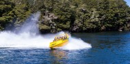 Fiordland Jet - Twin Lakes HeliJet image 5