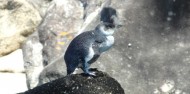 4 Day Abel Tasman Getaway - Backyard Roadies image 8