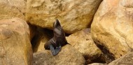 4 Day Abel Tasman Getaway - Backyard Roadies image 4