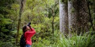 Cape Reinga & 90 Mile Beach image 8