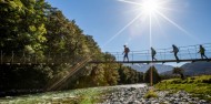 Guided Walks - Full Day Routeburn Nature Walk image 5