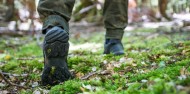 Guided Walks - Half Day Routeburn Nature Walk image 4