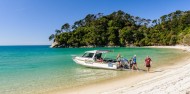 Walk & Water Taxi - Aqua Taxi image 1