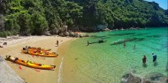 Kayaking - Abel Tasman Kayaks image 4