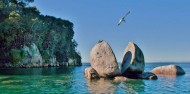 Walk & Water Taxi - Abel Tasman Sea Shuttles image 6