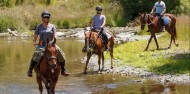 Horse Riding - Adventure Playground image 3