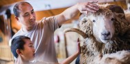 Farm Tour & Sheep Show - Agrodome image 1