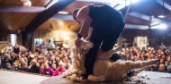 Farm Tour & Sheep Show - Agrodome image 2
