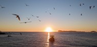 Alderman Islands Nature Reserve Boat Tour image 2