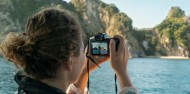 Alderman Islands Nature Reserve Boat Tour image 4