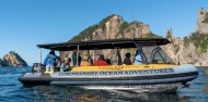 Alderman Islands Nature Reserve Boat Tour image 1