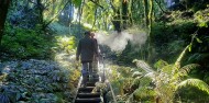 Waitomo Glow Worm Caves - Down To Earth image 9