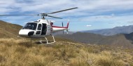 Helicopter Flight - Alpine Scenic image 5