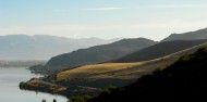 Central Otago Full Day Wine Tour - Altitude Tours image 3
