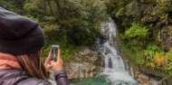 Small Group Milford Sound Coach and Cruise - from Te Anau image 4