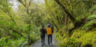 Small Group Milford Sound Coach & Cruise from Te Anau image 2