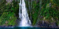Small Group Milford Sound Coach Cruise Coach image 5