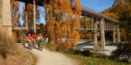 Bike Tours - Arrowtown to Gibbston image 7