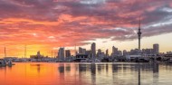 Auckland City Discovery Tour image 1