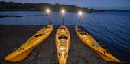 Kayaking - City Lights Night Kayak Tour image 9