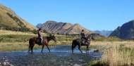 Horse Riding - Ben Lomond Trekking image 5