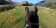 Horse Riding - Ben Lomond Trekking image 6