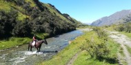 Horse Riding - Ben Lomond Trekking image 4