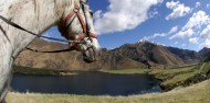 Horse Riding - Ben Lomond Trekking image 8