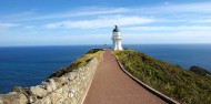 Cape Reinga Scenic Flight & Half Day Tour image 2