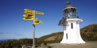 Cape Reinga Scenic Flight & Half Day Tour image 6