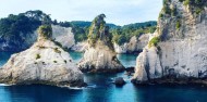 Cathedral Cove Boat Cruise image 6