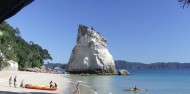 Kayaking - Cathedral Cove Kayak Tours image 5