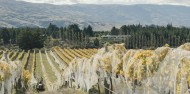 Central Otago Food & Wine Tour - Altitude Tours image 8