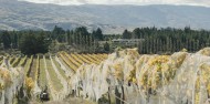 Central Otago Food & Wine Tour - Altitude Tours image 8