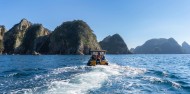 Coastal & Island Classic Boat Tour image 1