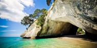 Coromandel Day Tour & Hot Water Beach image 1