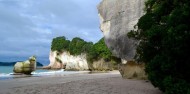 Coromandel Day Tour & Driving Creek Railway image 7