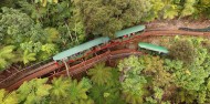 Coromandel Day Tour & Driving Creek Railway image 3