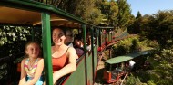 Coromandel Day Tour & Driving Creek Railway image 6