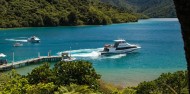 Cruise & Lunch at Punga Cove image 6