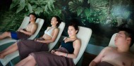 Deluxe Lake Spa - Polynesian Spa image 10