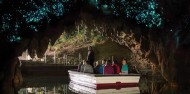 Waitomo Glowworm Caves - Discover Waitomo image 2