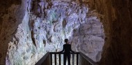 Waitomo Glowworm Caves - Discover Waitomo image 5